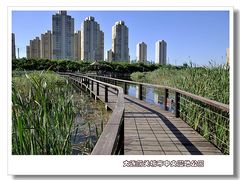 -前关湿地公园
