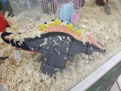 -欧尚超市苏州店停车场(金鸡湖路店)