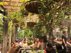 -The Grounds of Alexandria