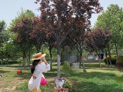 -灞河西岸滨河公园