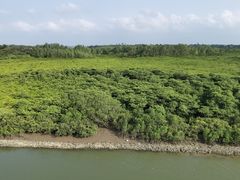 -东寨港红树林旅游区