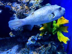 -华夏文旅海洋公园