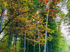 -天目湖御水温泉·度假酒店