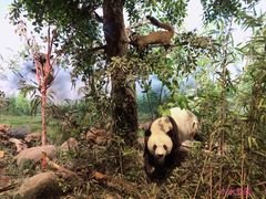 -陕西自然博物馆