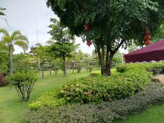 -荔湾区儿童公园