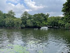 -荔湾湖公园