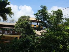 -海南槟榔谷黎苗文化旅游区