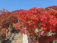 -周口店坡峰岭风景区
