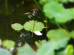 -四川大学(华西校区)