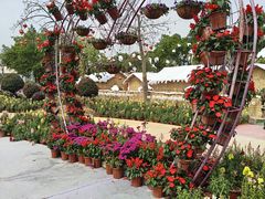 -广东花都香草世界旅游度假区