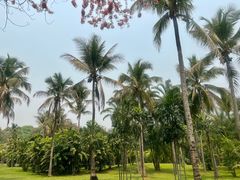 -中国科学院西双版纳热带植物园