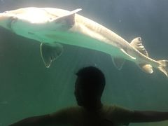 -多彩贵州城极地海洋世界