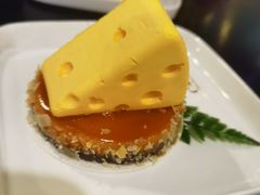 -猫小院猫主题咖啡厅(北锣店)