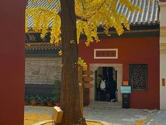 -长春观