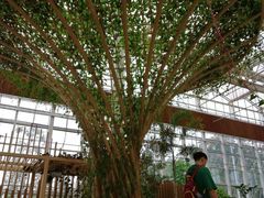 -黄龙溪欢乐田园