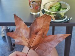 -麦当劳(新达汇三林店)