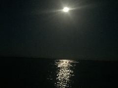 -洞里萨湖