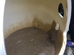 -100蛋泥浆浴