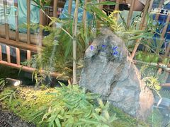 -绿茶餐厅(滨海万达广场店)