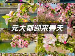 -元大都城垣遗址公园