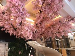 -逸丝风尚