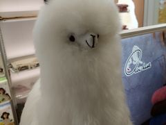 -国药中服免税(北京坊店)