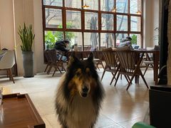 -VESH COFFEE(定西路店)