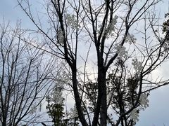 -滴水湖