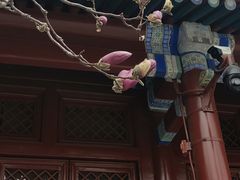 -宣南文化博物馆