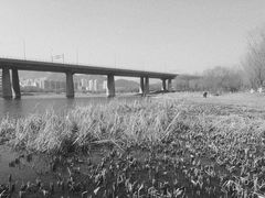 -门城湖公园