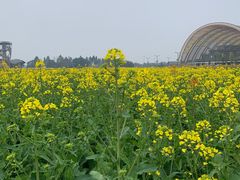 -中国天府农业博览园