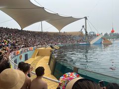 -秦皇岛乐岛海洋王国