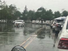 -无忧学车·大众驾校(长宁校区)