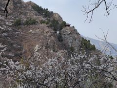 -北京鹫峰国家森林公园