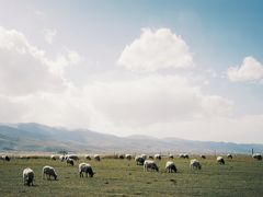 -青海湖国家重点风景名胜区