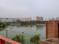 -青枫公园