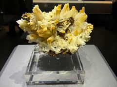 -湖南省地质博物馆