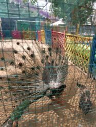 -萌宠亲子动物乐园(槐房万达店)