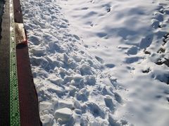 -蓟县盘山滑雪场