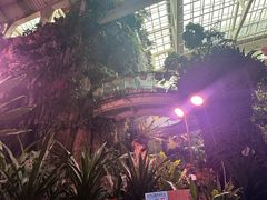 -正佳雨林生态植物园