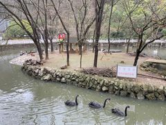 -黔灵山公园