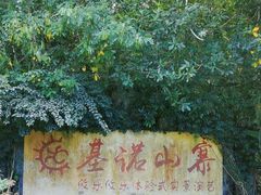 -西双版纳基诺山寨