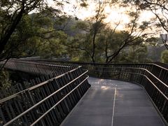 -梅峰山地公园