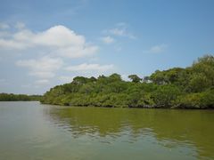 -东寨港红树林旅游区