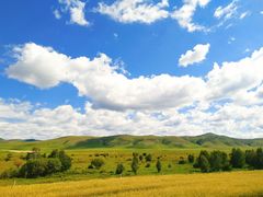 -塞罕坝国家级自然保护区