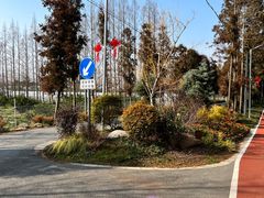 -上海长兴岛郊野公园