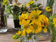 -花十悦·鲜花咖啡餐厅(振业城一期店)