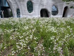 -证大喜玛拉雅中心