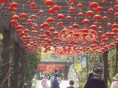 -白马涧龙池景区
