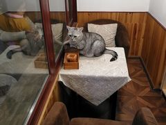 -隅cafe(傅厚岗店)